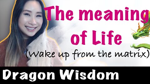 Wake up from the matrix by understanding the meaning of life
