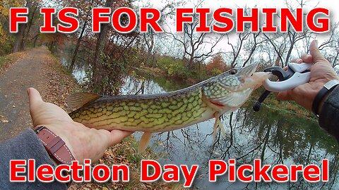 Election Day Pickerel