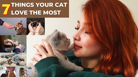 7 Things Your Cat Love The Most | Top 7 Signs Your Cat Loves You (A Vet's Perspective)