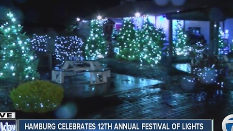 Hamburg celebrates 12th annual festival of lights