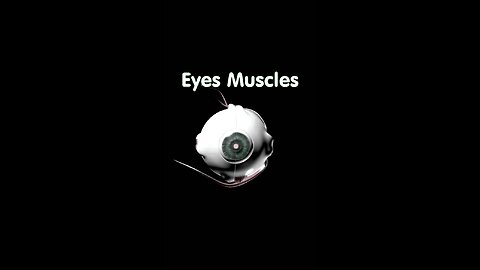 How Oculomotor Eye Muscles move your eyes