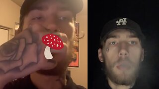 EATING SHROOMS (micro dose)