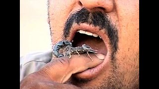 Man Eats Live Scorpions