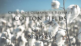 Cotton Fields - Creedence Clearwater Revival (cover-live by Bill Sharkey)