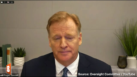 Roger Goodell Claims Ignorance Before Congress on Dave Portnoy's NFL Ban