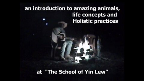 An introduction to The School Of Yin Lew