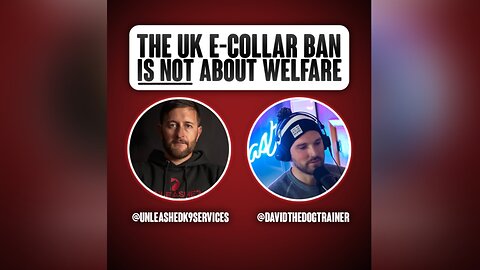 The UK e-collar ban is NOT about welfare