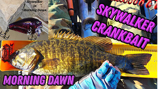 Using a Skywalker Crankbait in Morning Dawn Color