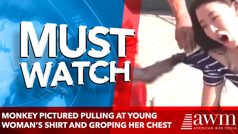 Monkey pictured pulling at young woman’s shirt and groping her chest