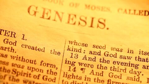 GENESIS THE FORMER JUDGMENTS