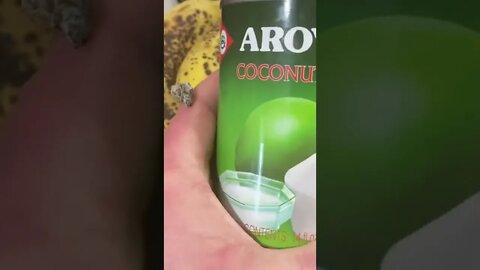 Coconut water for the smoothies