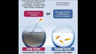 Antione Bechamp vs Louis Pasteur - Terrain Theory vs Germ Theory - Science vs Scientism