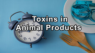 The Biological Concentration of Toxins in Animal Products - Alan Goldhamer, D.C.