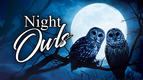 Night Owls - Sunday, April 14