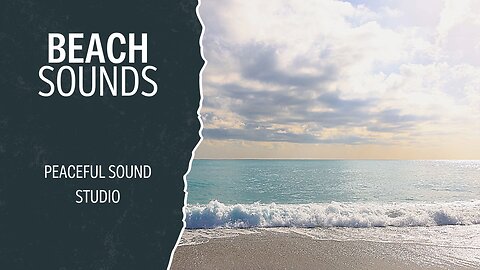 Nature Sounds Beach Waves with Seagull Sounds for Studying Relaxing and Deep Sleep Ocean Waves