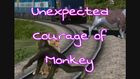 Unexpected Courage of Monkey 🐵 Wonderful Video