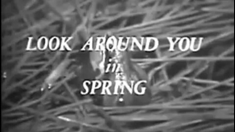 Look Around You in Spring - The Science of Spring