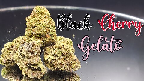 Black Cherry Gelato Review