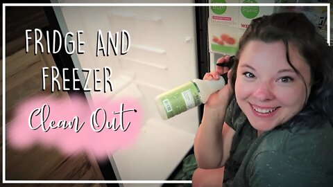 Fridge & Freezer Clean Out//Organizing My Refrigerator and Deep Freeze