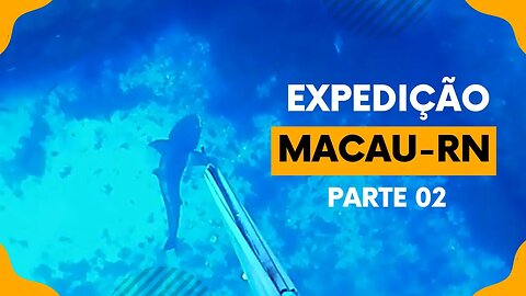 🎣 Expedição Macau RN - Pesca Sub em Apneia - Parte 02 🌊🐟 #pescasub #pescasubmarina #spearfishing