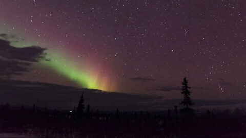 Alaska Concierge Northern Lights Phototours