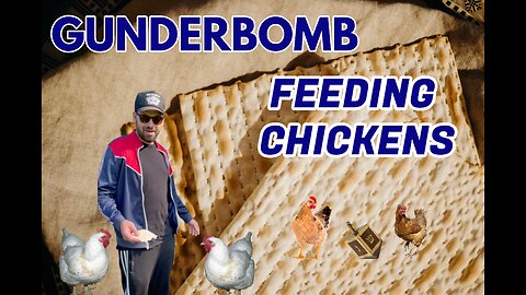 Gunderbomb (Feeding Chickens)