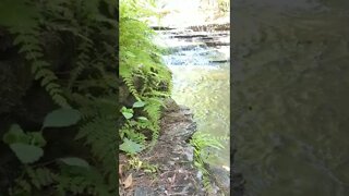 ASMR | Nature Sounds | Water