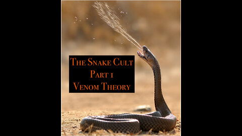 The Snake Cult Part 1 - Venom Theory