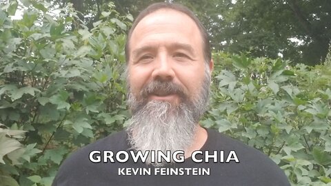 Growing Chia