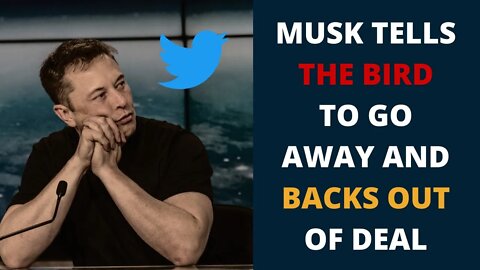 Elon Musk Terminates Twitter Deal