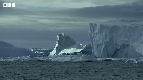 Antarctic winter sea-ice reaches record lows - P News