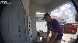 Riverview porch pirate caught on camera stealing packages in broad daylight
