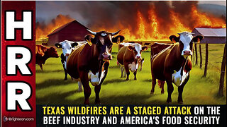 TEXAS WILDFIRES are a staged attack on the BEEF industry and America's food security