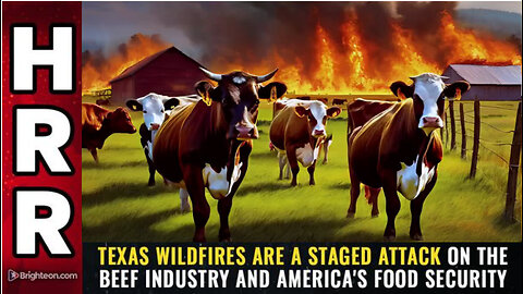 TEXAS WILDFIRES are a staged attack on the BEEF industry and America's food security