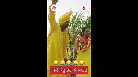 Punjabi super funny song must watch