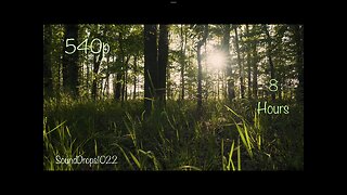 Sleep to Eight Hours of Nature Sounds Video
