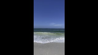 Wave ASMR on Big Marco Island, FL #FYP #Waves #ASMR #GulfOfMexico #MarcoIsland #4K #MentalHealth