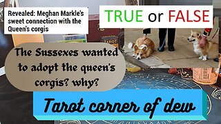 True or False - The Sussexes wanted tp adopt the Queen corgis? Why?