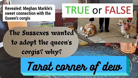 True or False - The Sussexes wanted tp adopt the Queen corgis? Why?