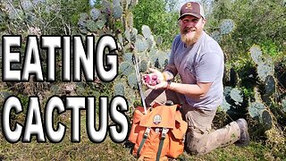 How To Eat A Cactus Fruit AKA Prickly Pear/ Day 3 Of 30 Day Survival Challenge Texas