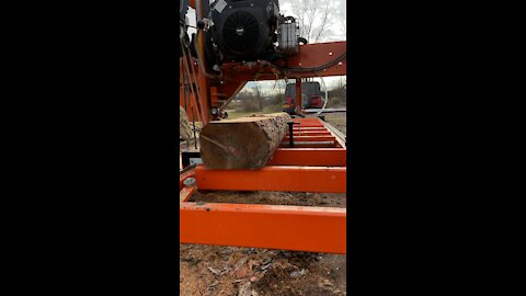 Milling Larch with The Woodmizer LT15 Wide Time-lapse