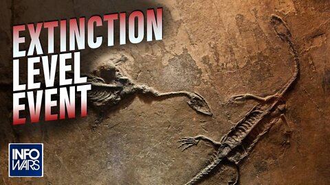 Doctor Lee Merritt Warns: This Is An Extinction Level Event