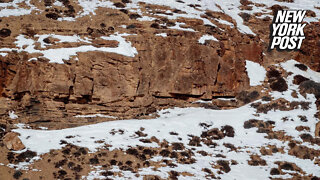Can you spot the snow leopard hiding in plain sight?