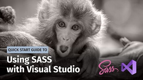 Using SASS with Visual Studio (2019)