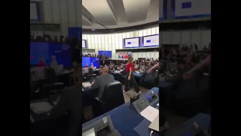 Interpretative dancers just performed at the European parliament and people are confused