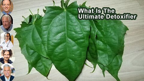 What Is The Ultimate Detoxifier And Why Is It The Most Likely To Improve Your Lifespan?