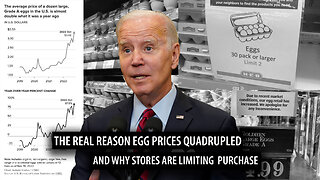 The Real Reason Egg Prices Quadrupled and Why Stores are Now SEVERELY Limiting How Much You Can Buy