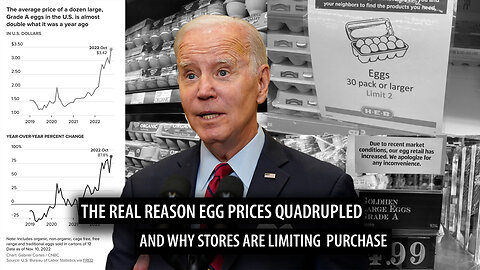 The Real Reason Egg Prices Quadrupled and Why Stores are Now SEVERELY Limiting How Much You Can Buy