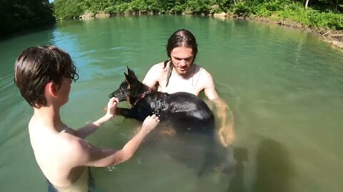 Swimming to beat the heat wave. Secret swimming hole in the Ozark National Forest