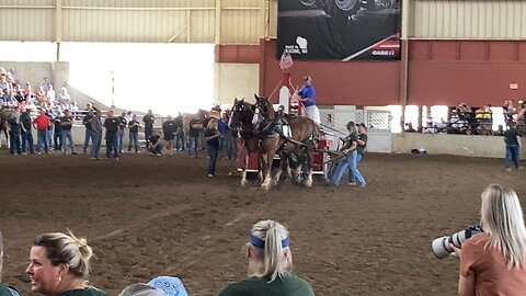 Team 1 lightweight horse pulling